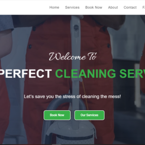 estyperfect cleaning service london website development by pa digitech