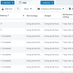 facebook ads creation and management service