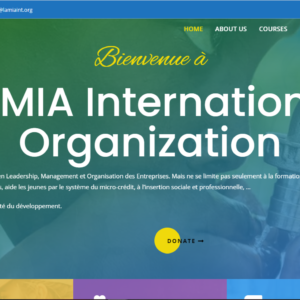 lamia africa NGO website design services by pa digitech