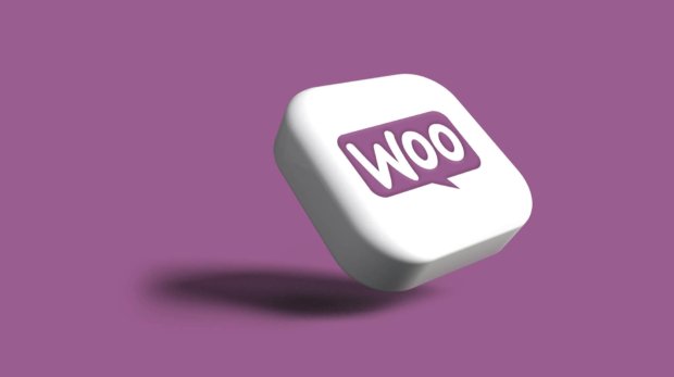 Should You Sell on Marketplace Sites or Build Your Own eCommerce Website (2)